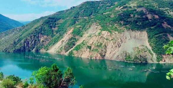 KÜRTÜN