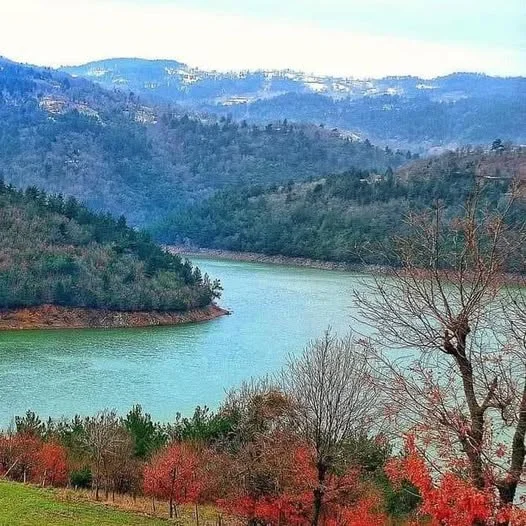 YENİCE-GÖNEN