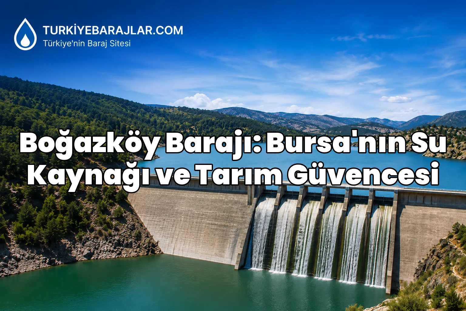 Boğazköy Barajı: Bursa'nın Su Kaynağı ve Tarım Güvencesi